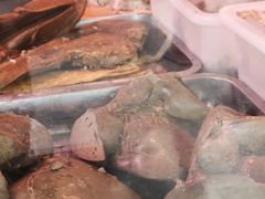 -洪记白水羊头(天坛店)
