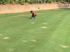 -广州冠景高尔夫练习场