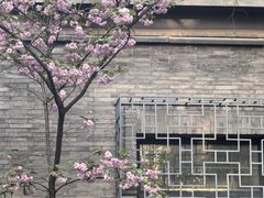 -绿地·中山里