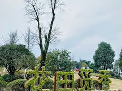 -铁山坪森林公园