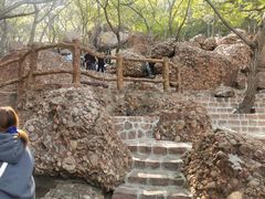 -山叶口景区