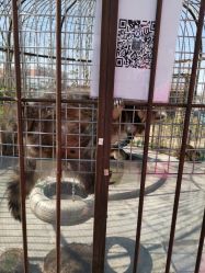 -萌宠亲子动物乐园(槐房万达店)