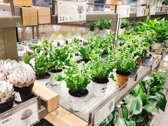 -鹿岛生活(熙地港店)
