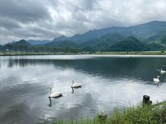-大九湖