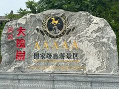 -大槐树寻根祭祖园