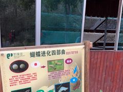 -野象谷景区