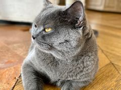 -Me Coffee下午茶艺术空间