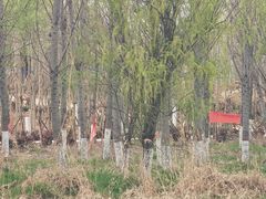 -淇河国家湿地公园