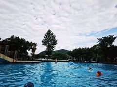 -锦园餐厅(九龙湖开元度假村店)