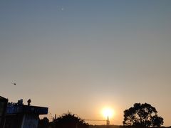 -花博汇(知音花月夜)