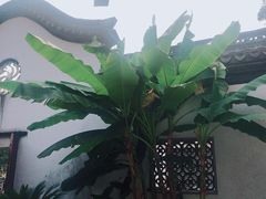 -乌镇望津里精品酒店