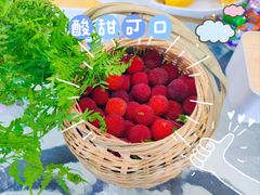 -中田健身工作室(星耀城金牌店)
