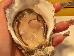 -斯普汇生蚝牛排馆(中骏世界城店)