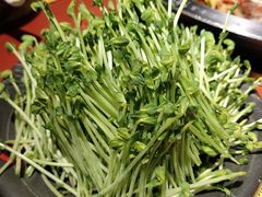活体豆苗-谭鸭血老火锅(龙湖宝山天街店)