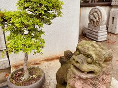 -青竺·青竹茶舍(断桥店)
