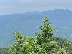 -九皇山景区