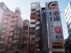 -秋叶原电器街