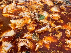 -川渔居—鱼火锅(八方汇店)