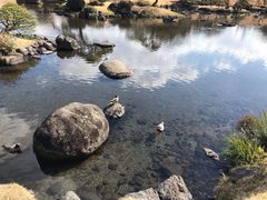 -水前寺成趣园