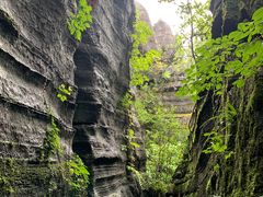 -梭布垭石林景区