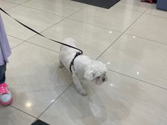 -美联众合动物医院·24h京西诊疗中心