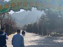 -西安秦岭野生动物园