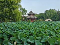 -莲池书院博物馆