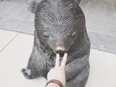 -凤凰中心