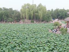 -莲池书院博物馆