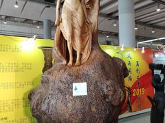 -南宁国际会展中心(会展东博文化旅游区)