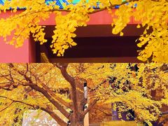 -玉渡山自然风景区