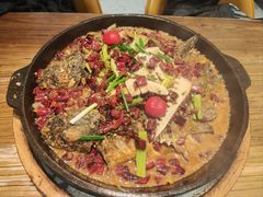 -老板恋上鱼(印象城店)