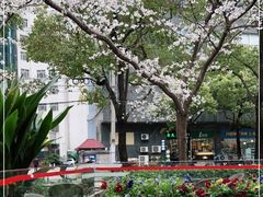 -玛格萝妮比萨屋(四平店)