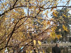 -四川大学(望江校区)