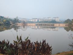 -枫香湖儿童公园