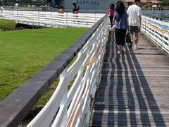 -春花秋色城市公园