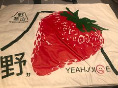 -野萃山·潮汕厚果汁(十亩地店)