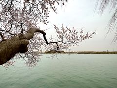 -颐和园
