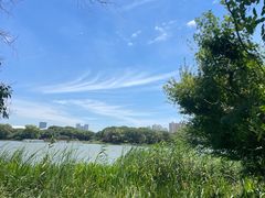 -昆山城市生态森林公园