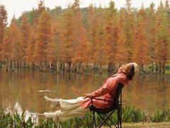 -白鹭湾湿地公园