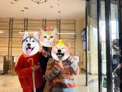 -长沙晚报大道亚朵酒店