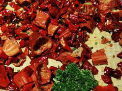 -红辣椒·川菜·火锅(张杨路店)