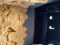 -巴依老爷新疆美食(牡丹园店)