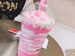 -飞行喵MR PILOT|猫舍·猫咖(静安大融城店)