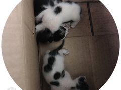 -方鼎食府粤菜酒楼•茶点•宴会