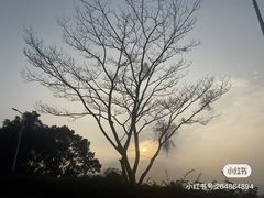 -火炉山森林公园
