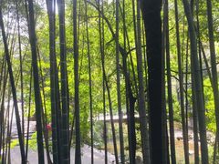 -祁门牯牛降观音堂风景区