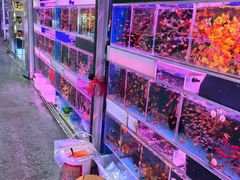 -双季花艺园艺市场(浦东店)