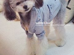 -八公叔叔宠物美容连锁(春申店)