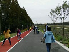 -上海长兴岛郊野公园